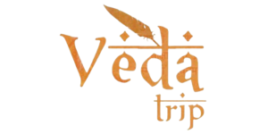 VEDA_TRIP_LOGO_PBOI_INDIA_JAGADHARI_YAMUNANAGAR_BOXING_SPONSER